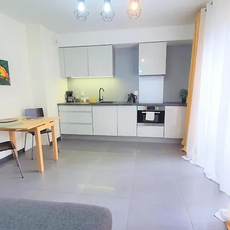 Good Time Centrum Strzelecka A דירה פוזנן