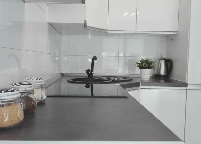 Good Time Centrum Strzelecka A Apartment Poznan